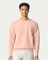 Comfort Colors® Garment Dyed Lightweight Fleece Crewneck Sweatshirt
